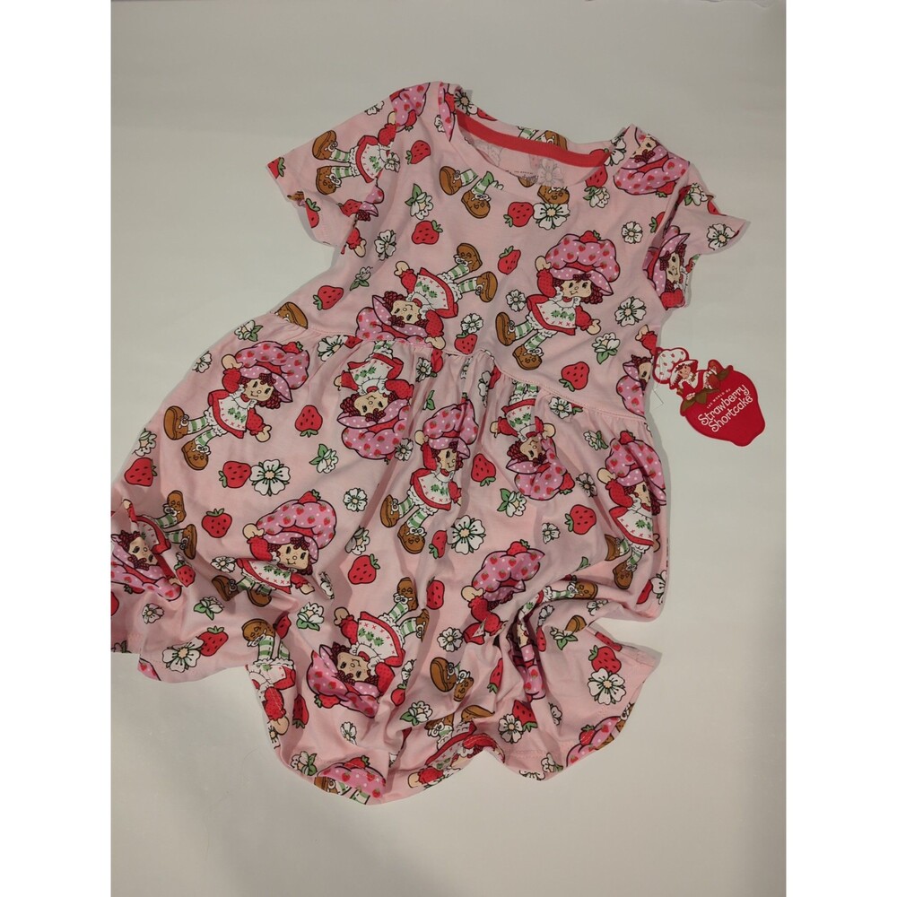 Strawberry shortcake girls dress size 5T brand new with tags